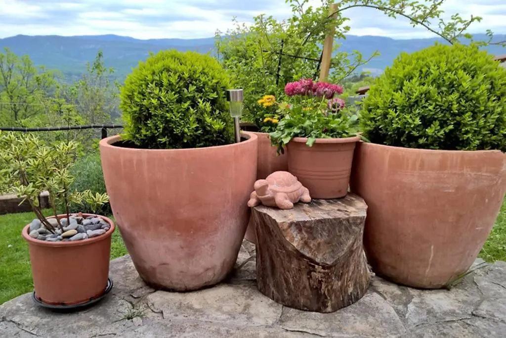 House Coccola Paradise In Nature
