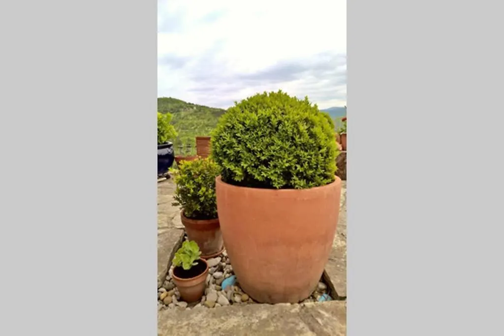 House Coccola Paradise In Nature 0*, Boljun Croatia